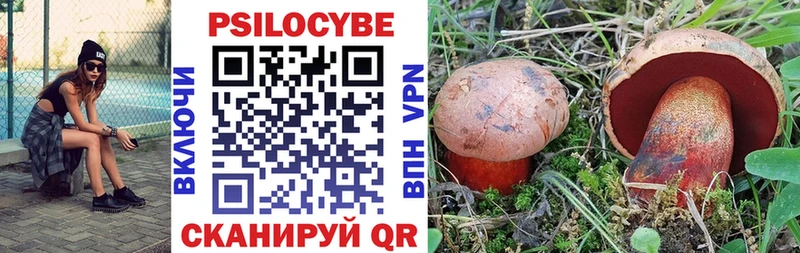 Купить где Назарово Галлюциногенные грибы прущие грибы